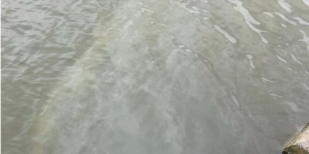 Сброс нечистот в реку Малый Койсуг в Батайске подтвердили в Минприроды