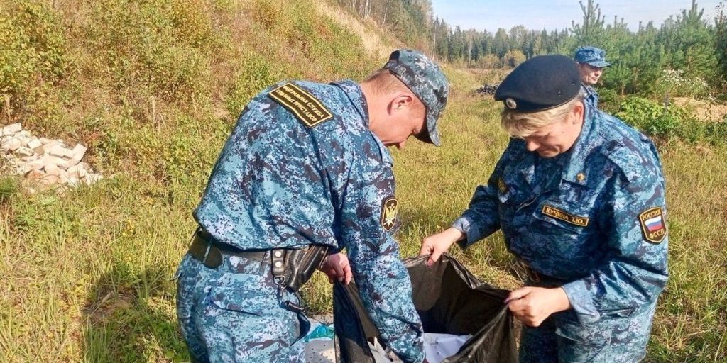 Pulizia nel bosco: giudici esecutivi rimuovono decine di vecchie gomme d'auto e rifiuti per proteggere l'ambiente