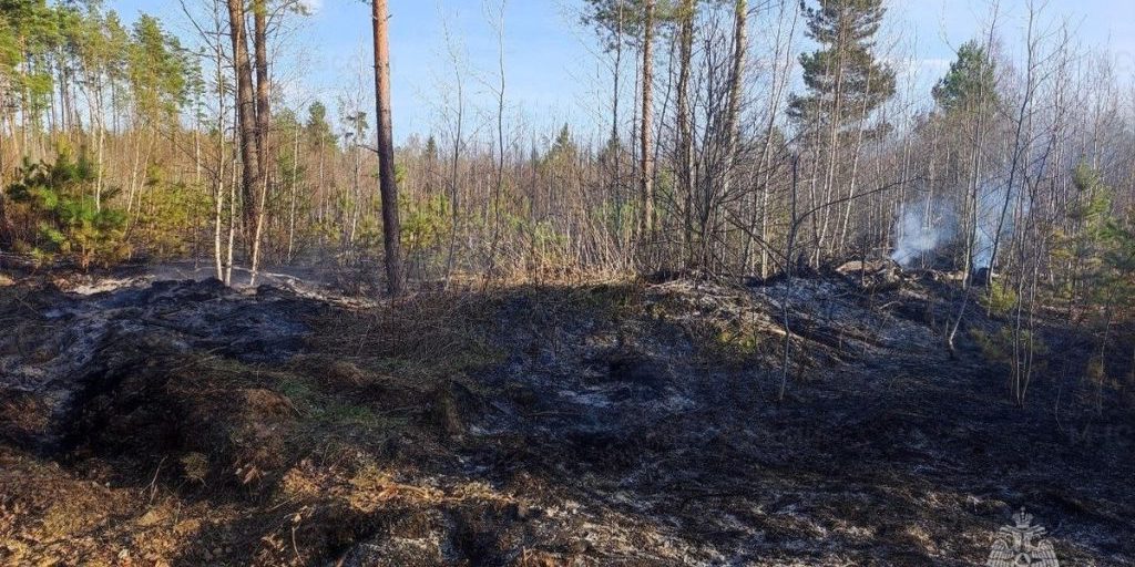 "Ликвидирован лесной пожар: l'intervento della forestale per proteggere l'ambiente"