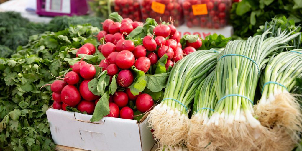 В Карелии зафиксировано снижение цен на продукты и транспортные услуги