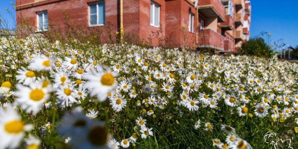 В НАО рассказали о федеральной программе «Лидеры мнений»