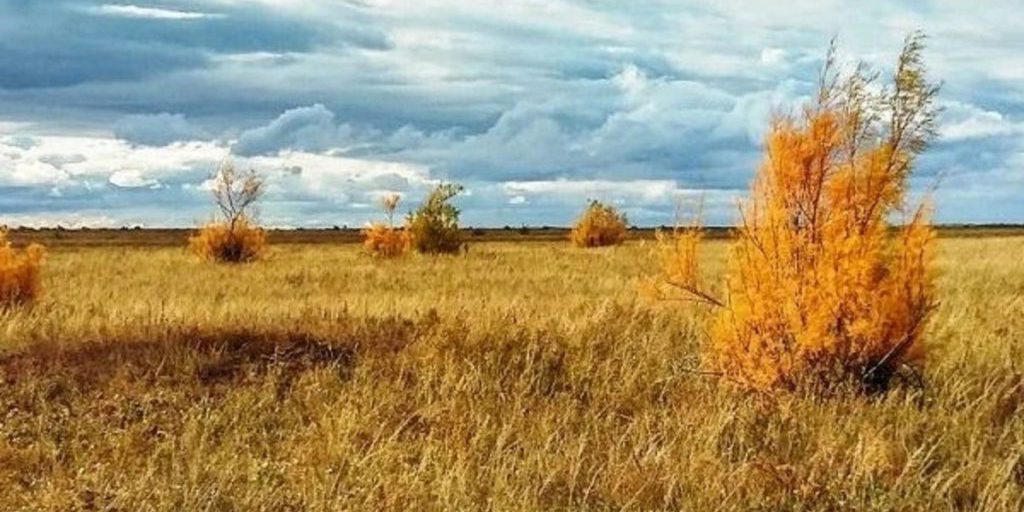 Завтра приметы в Калмыкии расскажут о погоде в ближайшее время