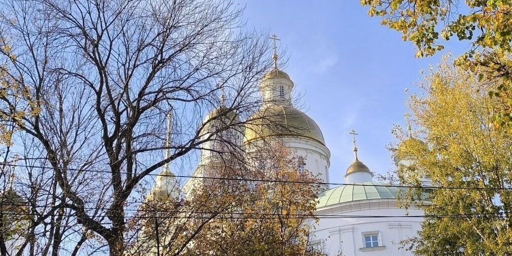 Пензенцам рассказали о духовных основах замещающих семей