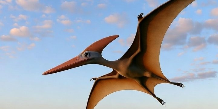 Ученые нашли летающего монстра возрастом 70 млн лет