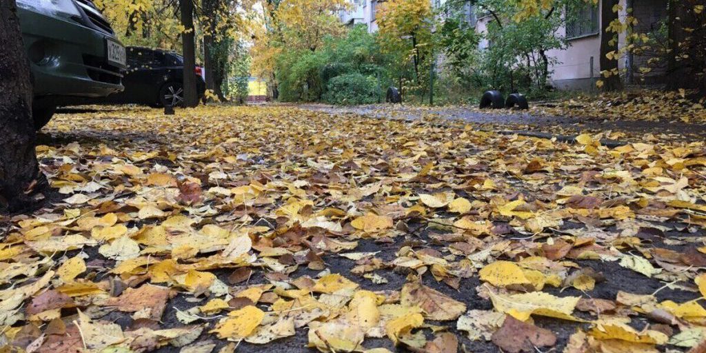 В Воронежской области зарядили дожди