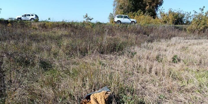 Трое суток в одиночестве: пенсионера с потерей памяти нашли в овраге