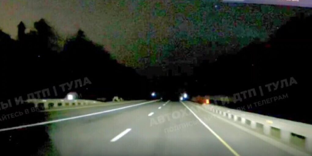 Pericoli sulla Strada M-2 vicino a Nekrasovo: Attenzione ai Cervi per una Guida Sicura