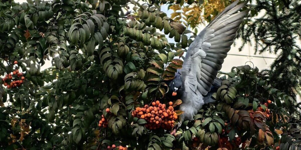 Previsioni Meteo per la Repubblica di Hakasia: ottobre con temperature moderate e tempo soleggiato