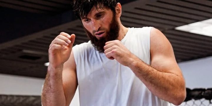 Анкалаев прокомментировал поражение от Перейры: «Аллах очищает путь от лишних людей»