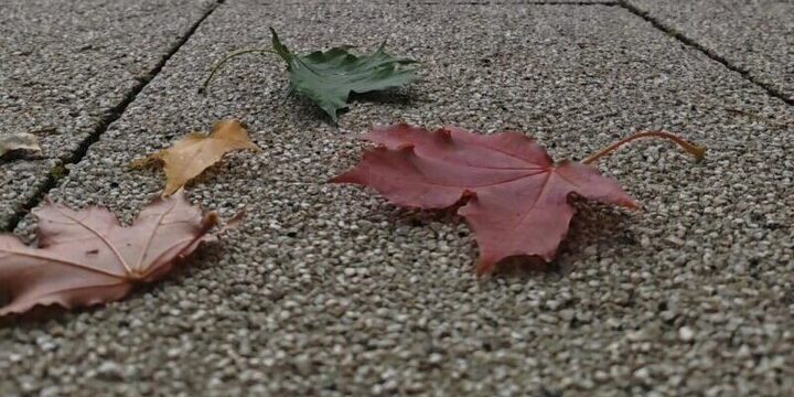Tragico ritrovamento a Voronež: il mistero della ragazza trovata senza vita in un parco universitario