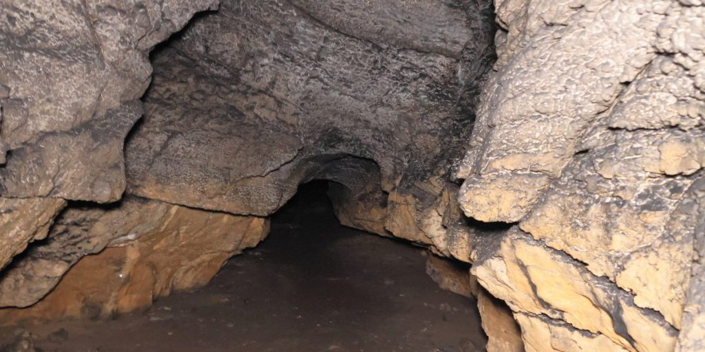 Семейный ужин может уничтожить рисунки палеолита в челябинской пещере