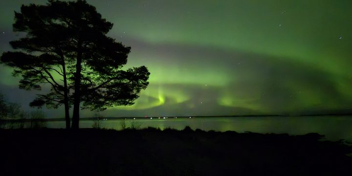 Spettacolo Celeste a Petrozavodsk: L'Aurora Boreale Incanta la Città con la sua Bellezza Naturale