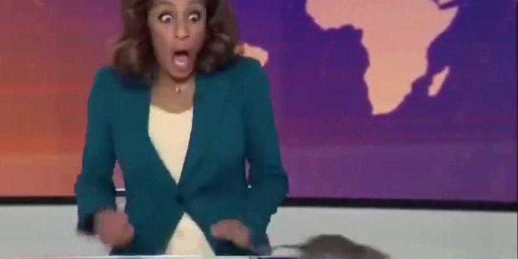 Лондонский шик: крыса атаковала ведущую в прямом эфире