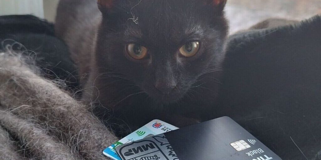 Эксперт Суворова: появление лимита на карты коснётся добросовестных пользователей