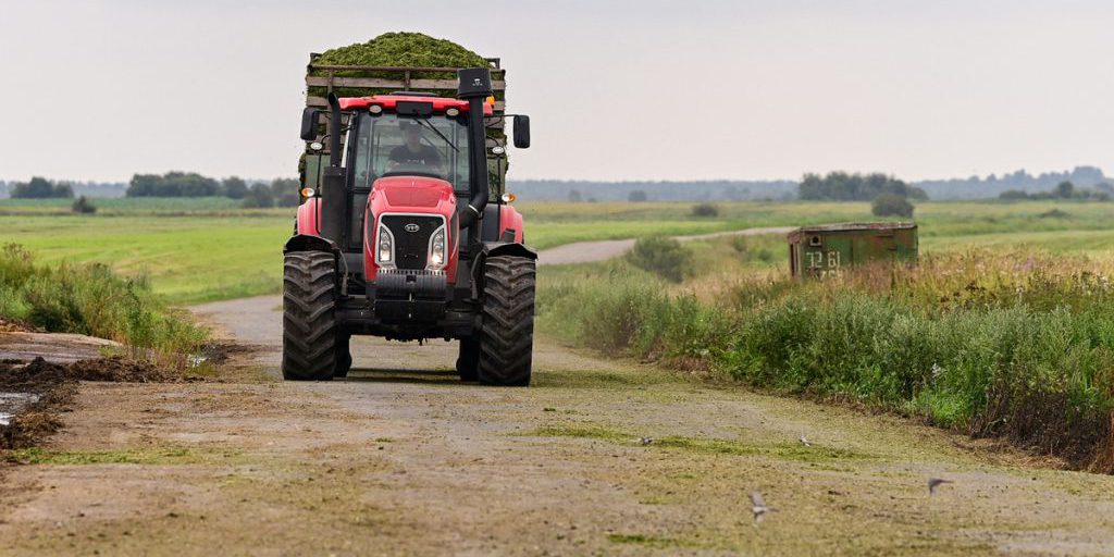 Сезон заготовки кормов подошел к концу в Карелии