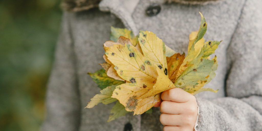 "Previsioni meteo per l'8 settembre a Krasnoyarsk: temperature miti e cielo sereno"