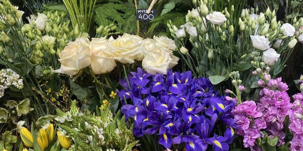 В Калининградской области в партии хризантем обнаружили карантинное заболевание