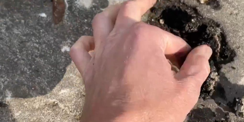 Недавно построенная лыжероллерная трасса в регионе опасна для занятий