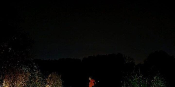 Пять пропавших без вести найдены мертвыми в Воронежской области