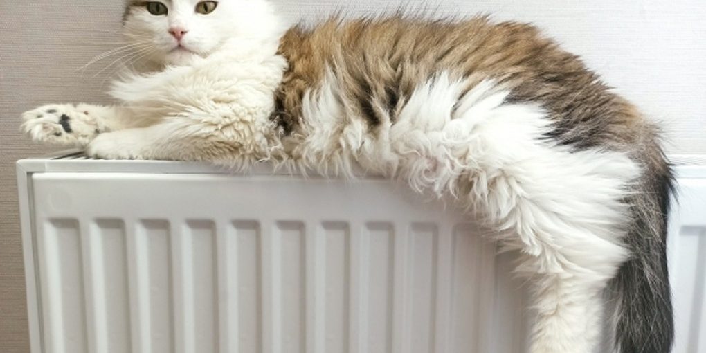 Inizio della Stagione di Riscaldamento a Volgograd: Impatto sulla Vita dei Residenti e sull'Ambiente