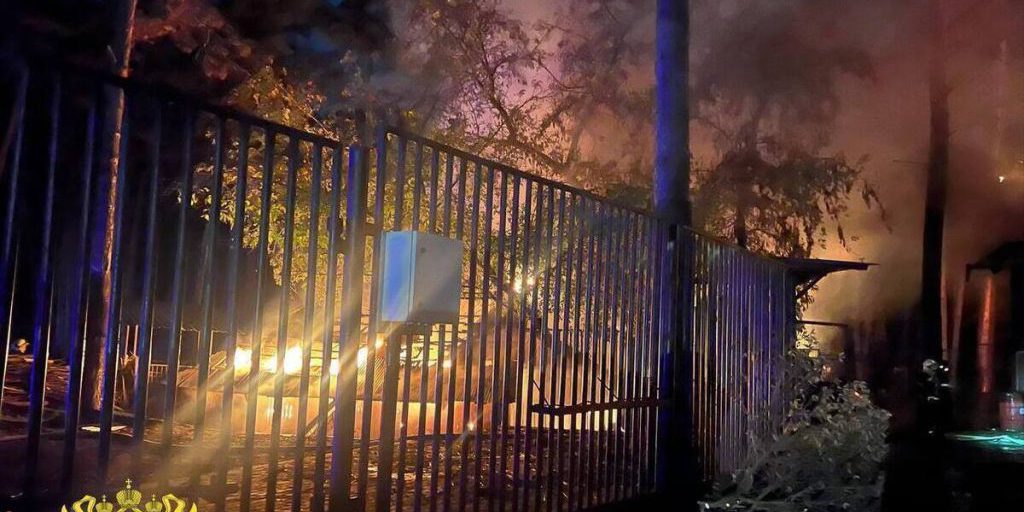 Новосибирский зоопарк продолжит работу после пожара