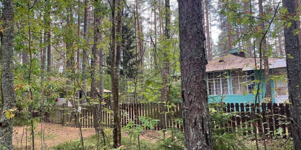 Петербуржцы избили местного жителя за оскорбление родственницы