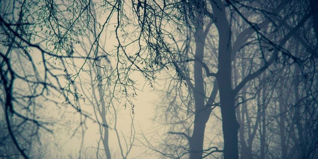 В Тульской области ожидается густой туман