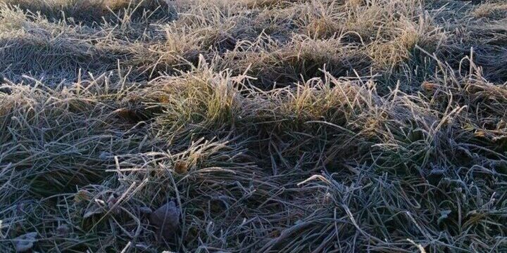 В Белгородской области похолодает до 0 градусов в среду