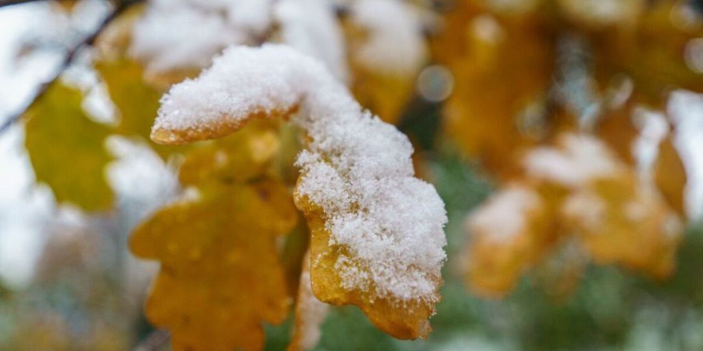 Постоянный снежный покров появится в Татарстане во второй половине ноября