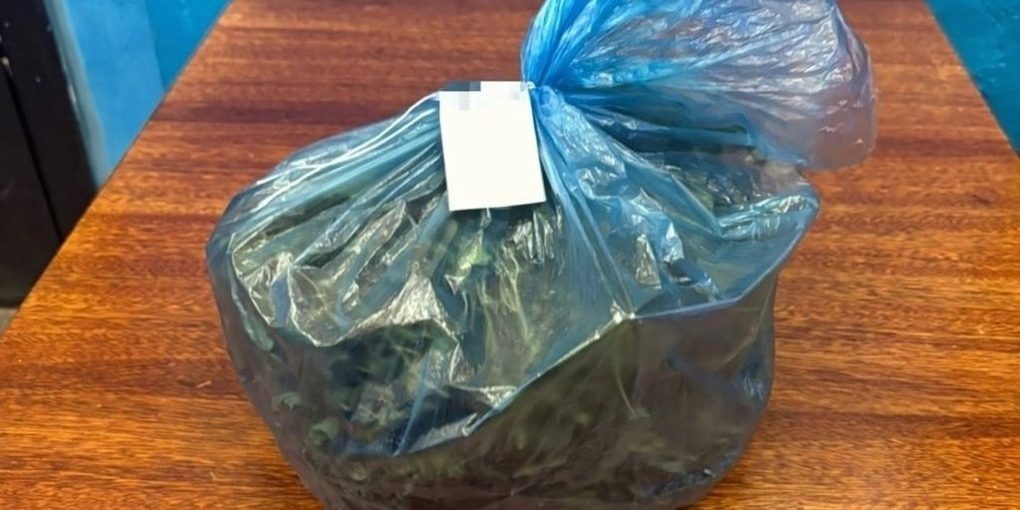 Жителя Калмыкии подозревают в незаконном обороте наркотических средств