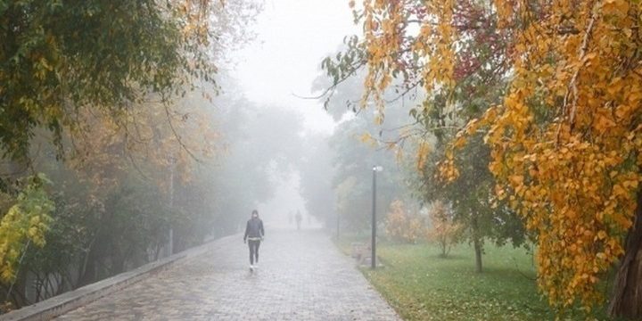 Previsioni Meteo a Volgograd: Piogge e Vento a Raffiche il 5 Ottobre