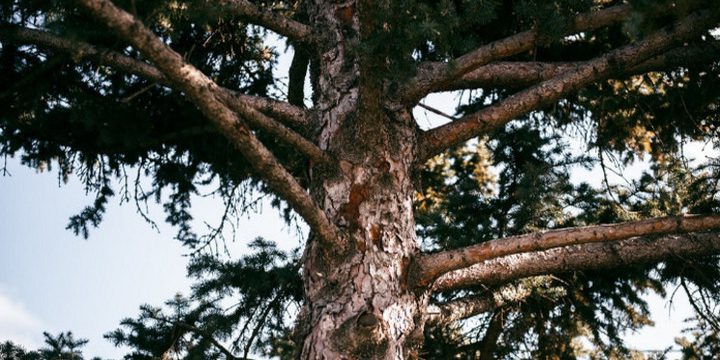 Il Giorno di Sergio d'Inverno: Tradizioni e Credenze del 20 Ottobre nel Calendario Popolare Russo