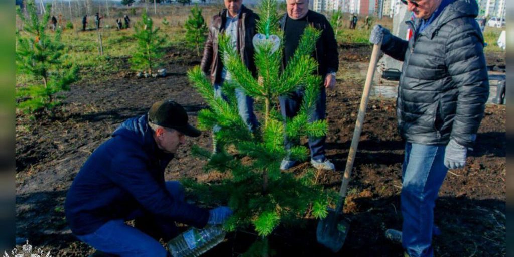 Nuovi alberi piantati sull'avenue del 100° anniversario del Servizio Sanitario-Epidemiologico Statale a Nizhny Tagil per migliorare l'ambiente e la salute pubblica