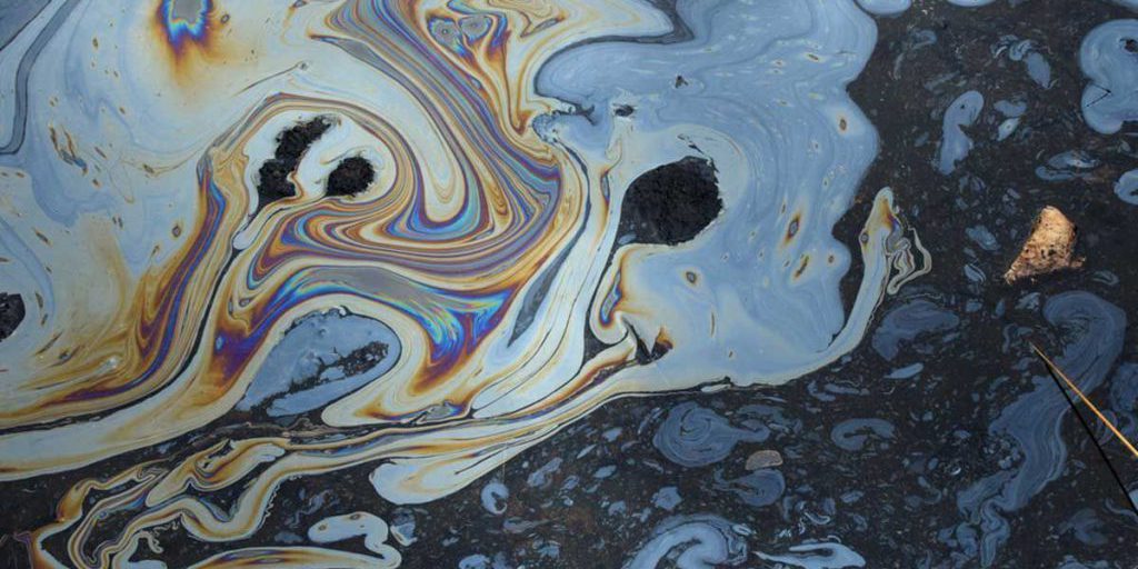 Barriere protettive nel Golfo di Carelia: un passo avanti per la protezione ambientale