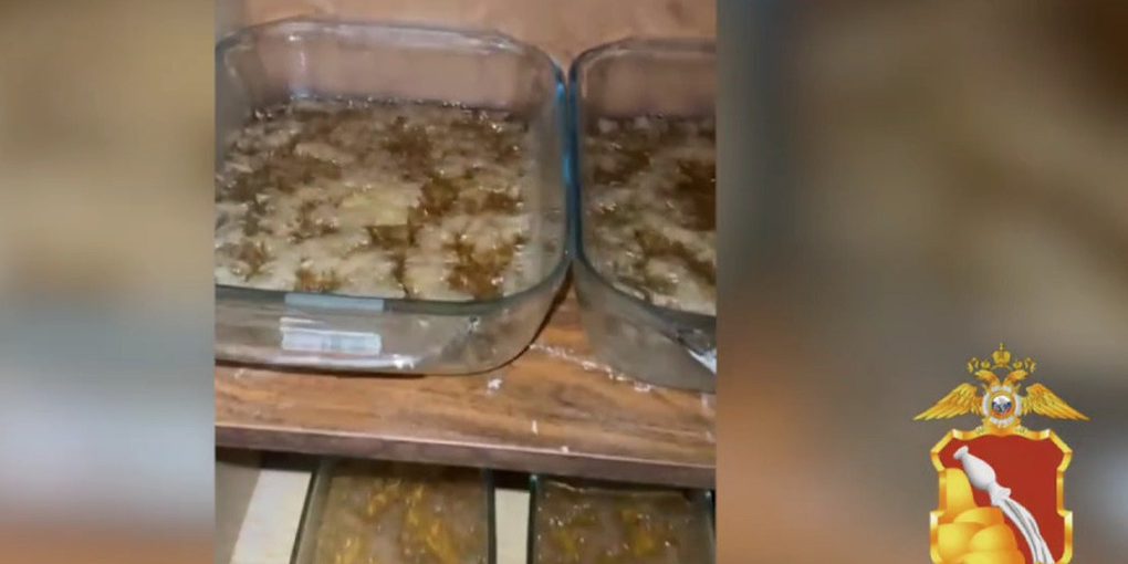 В воронежском Борисоглебске ликвидировали нарколабораторию