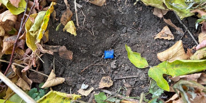 Arresto di due spacciatrici di droga a Kostroma grazie alla collaborazione tra residenti e autorità