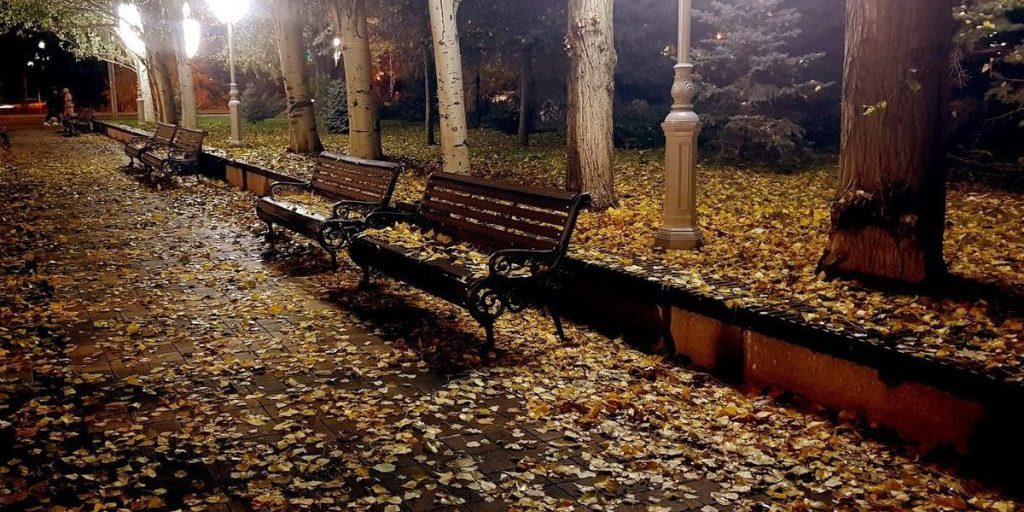 В Волгоградской области 12 октября ожидаются дожди, туман и порывистый ветер