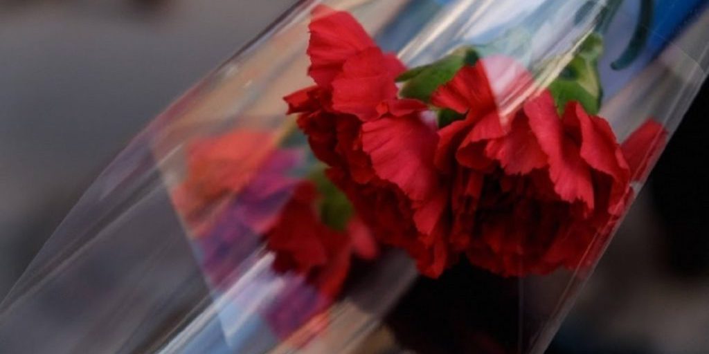 В Волгограде прошли похороны учителя гимназии Екатерины Синельниковой