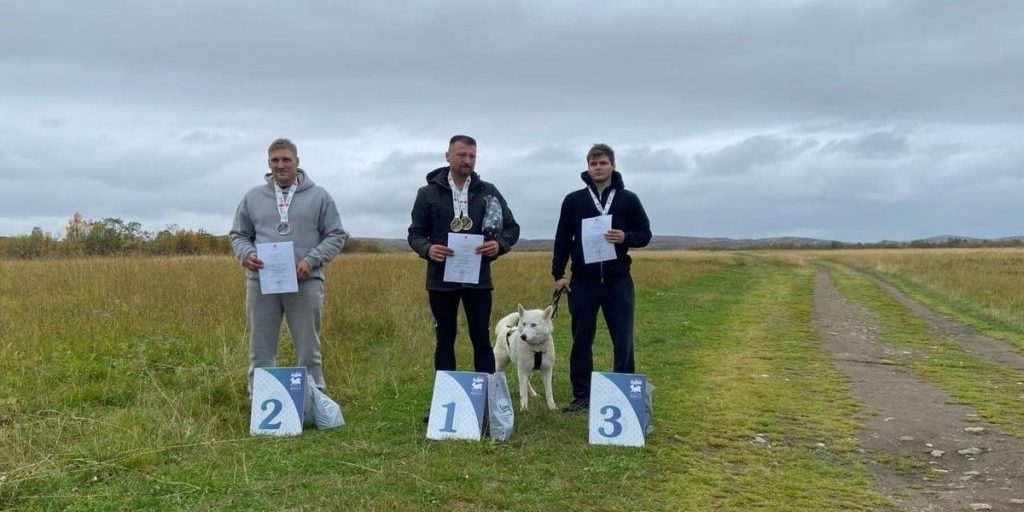 В Кольском округе наградили победителей соревнований по ездовому спорту