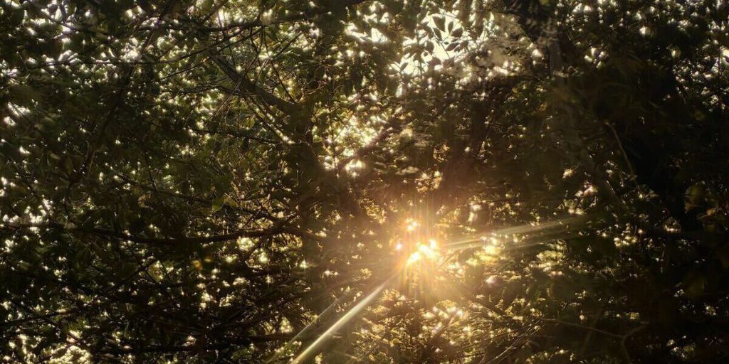 В Петербурге в сентябре солнце светило почти 200 часов