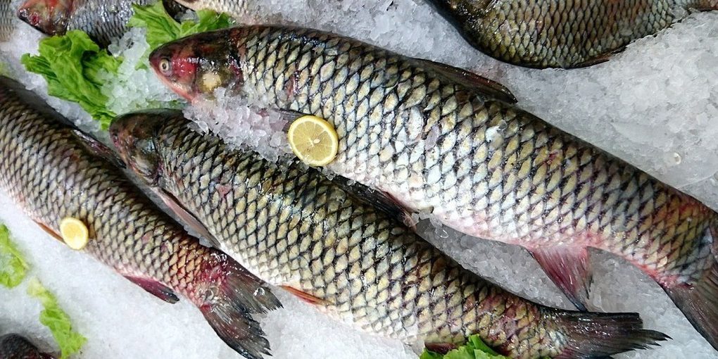 Scegliere il Pesce Giusto: 4 Segni per una Cena Salutare e Sostenibile