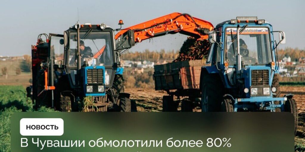 Урожай выше, чем в прошлом году: аграрии Чувашии завершают уборку зерновых