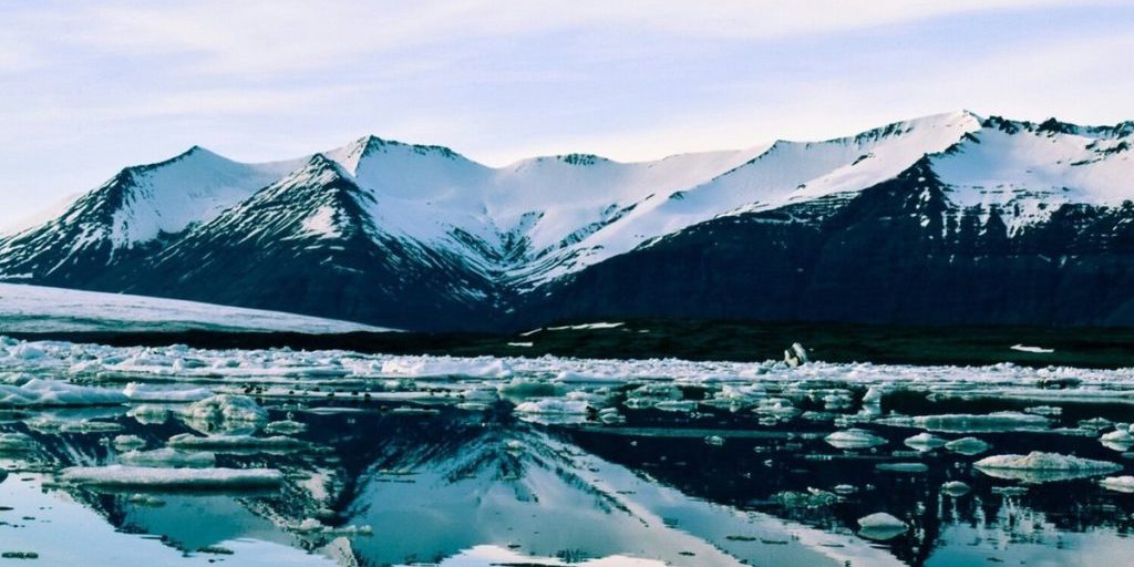 Prima segnalazione di zanzare in Islanda: un evento storico con possibili conseguenze per la salute pubblica e l'ecosistema del paese