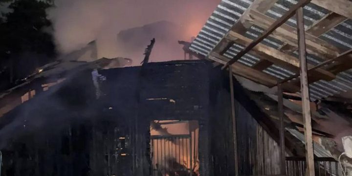 Incendio nel Zooparco di Novosibirsk: Malfunzionamento Elettrico Sospettato come Causa Probabile