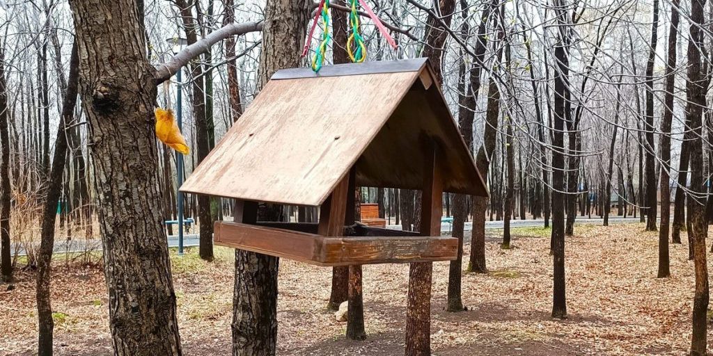 I residenti di Ekaterinburg uniscono le forze per un futuro più verde nella Russia