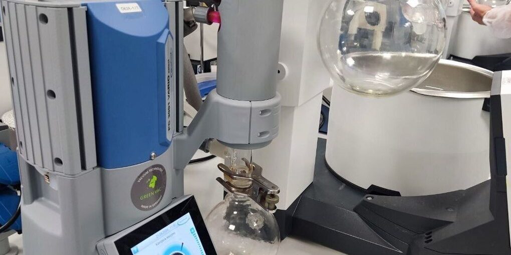 Rivoluzione nella diagnosi del cancro alla pancreas grazie all'intelligenza artificiale