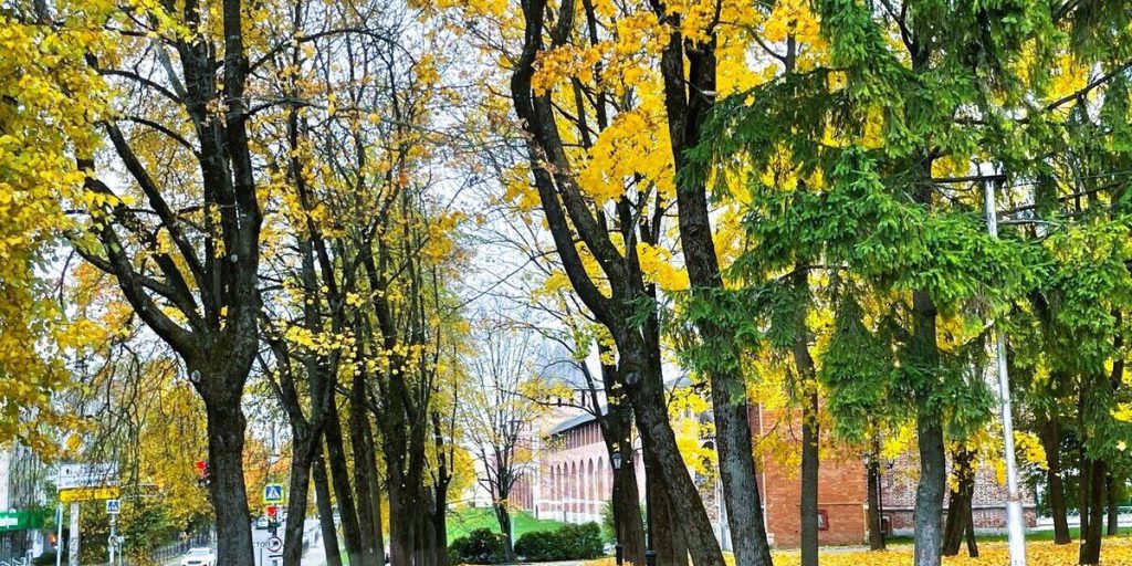 «Городская управляющая компания» проводит уборку Смоленска