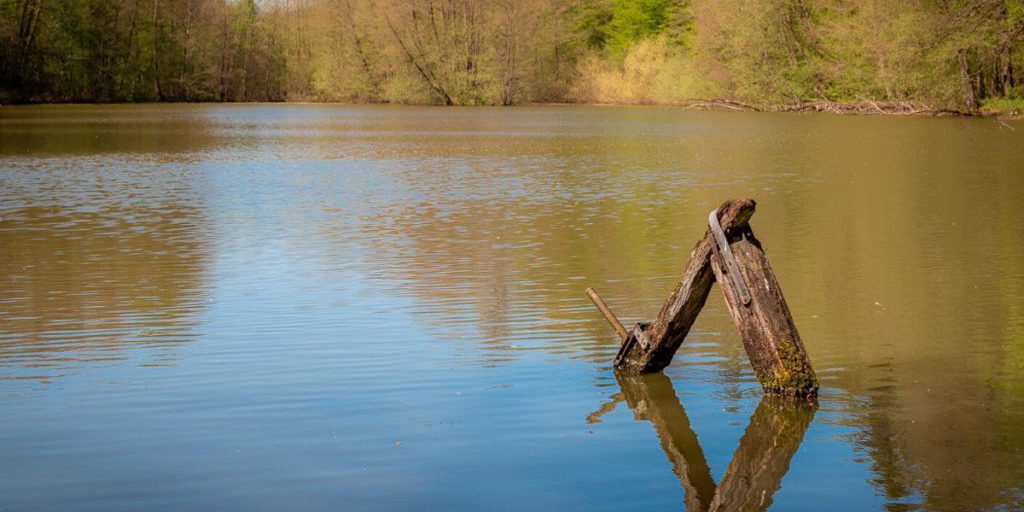 "Indagine sullo smaltimento illegale di rifiuti vicino alla riserva naturale di Lipetsk: minaccia per l'ambiente e la biodiversità"