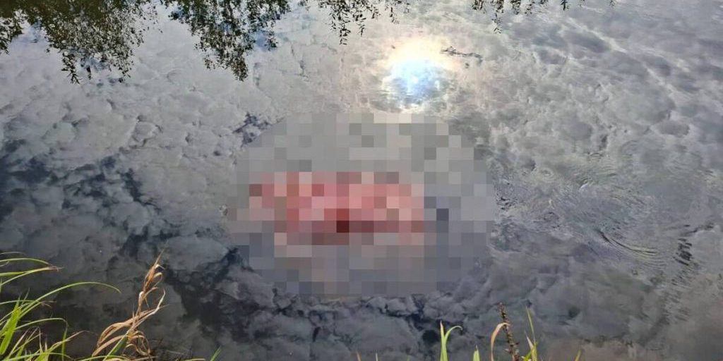 Из реки в Тверской области достали тело человека