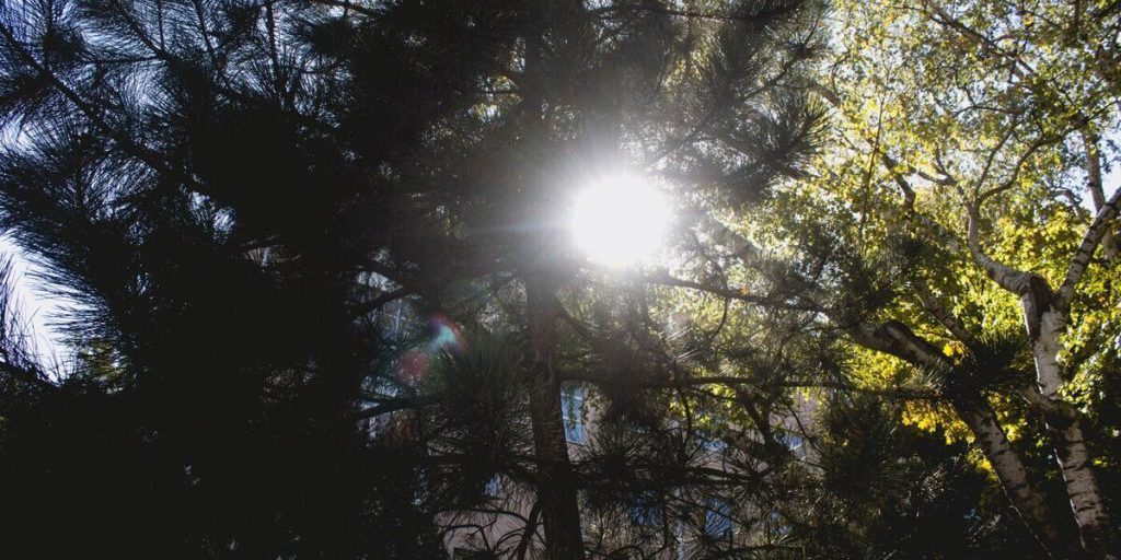 Tempesta solare a San Pietroburgo: la normalità è tornata dopo quattro giorni di turbolenza magnetica